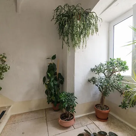 Terrazza Del Centro A 아파트